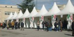 Sedotti dalle primarie: Falcone è contento, Gibiino prenota la candidatura item-thumbnail
