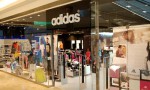 Adidas al Forum Palermo, ecco come candidarsi item-thumbnail