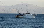 Navi italiane impegnate nei salvataggi, <br> pescherecci siciliani in pericolo item-thumbnail