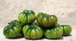 Sinergie, il marchio della sostenibilità per il pomodoro siciliano item-thumbnail