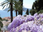 Ambiente: il 25 marzo riaprono i Giardini di Villa della Pergola ad Alassio
item-thumbnail