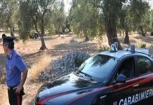 Riesi, omicidio in contrada Spampinato, ucciso il 38enne Salvatore Fiandaca